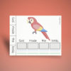 Sentence Building - Birds
