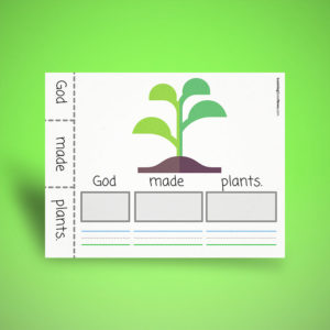 Sentence Building - Plants