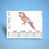 Sentence Building - Birds